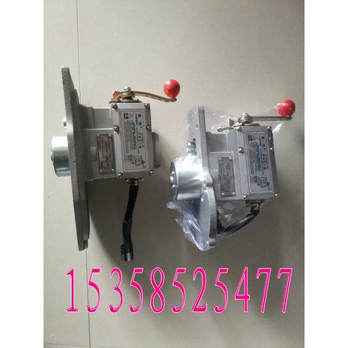 A1000C-W  上海上柴柴油发电机组6135 B泵 G128 PT泵 船用执行器