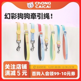 Touchdog它它幻彩狗牵引绳夜光遛狗绳狗链中小狗犬135cm