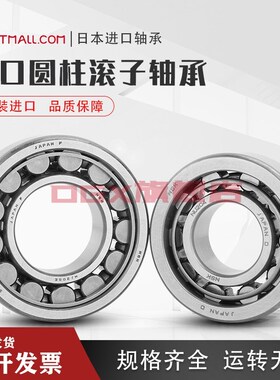 进口日本NSK圆柱滚子轴承 NF228 230 232 234 236 238 EW EM C3