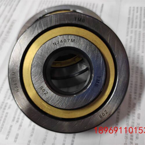 杭州天马TMB轴承NJ 405 406 407 408 409 410 411 412 413 414 EM