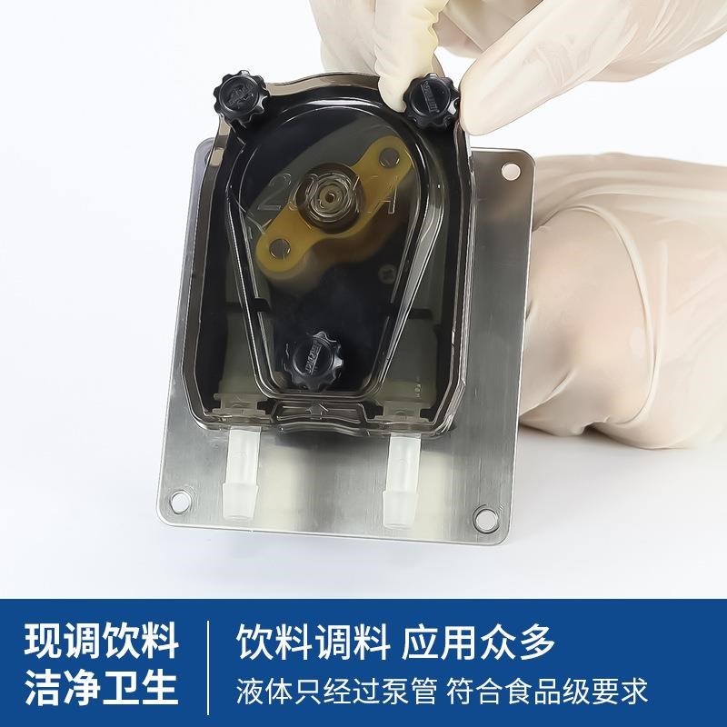 203KA微型蠕动泵小型蠕动泵计量泵密封蠕动泵 自制蠕动泵