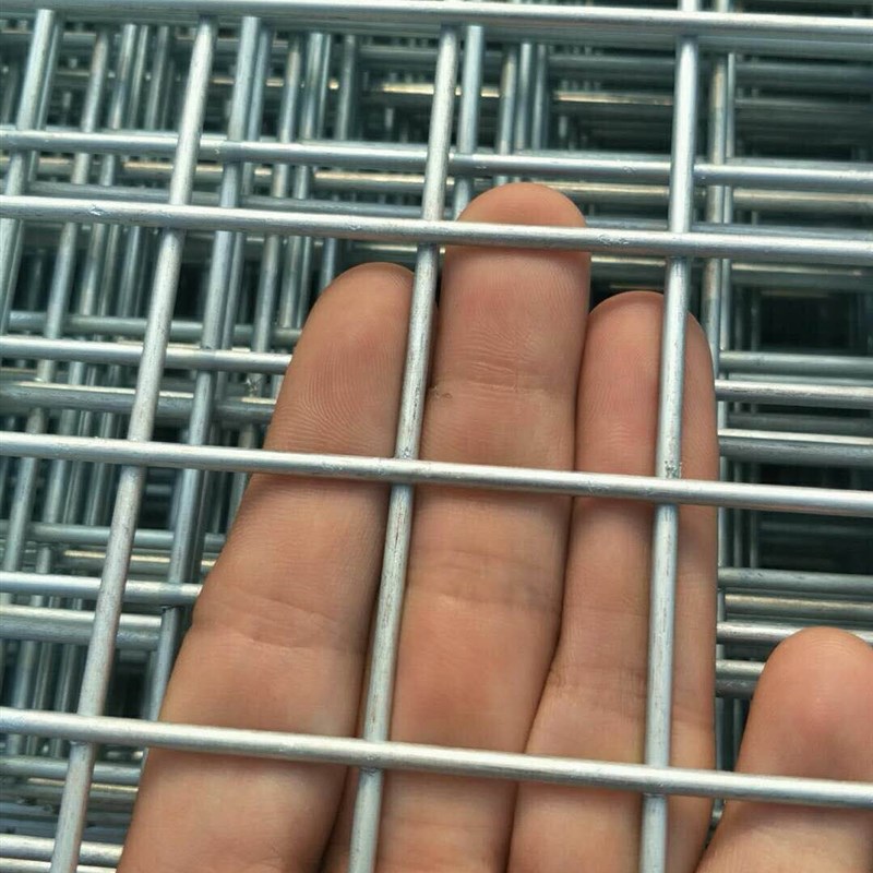 镀锌铁丝网格片围栏网防护网养殖网钢丝网加粗小孔狗笼子钢筋网片