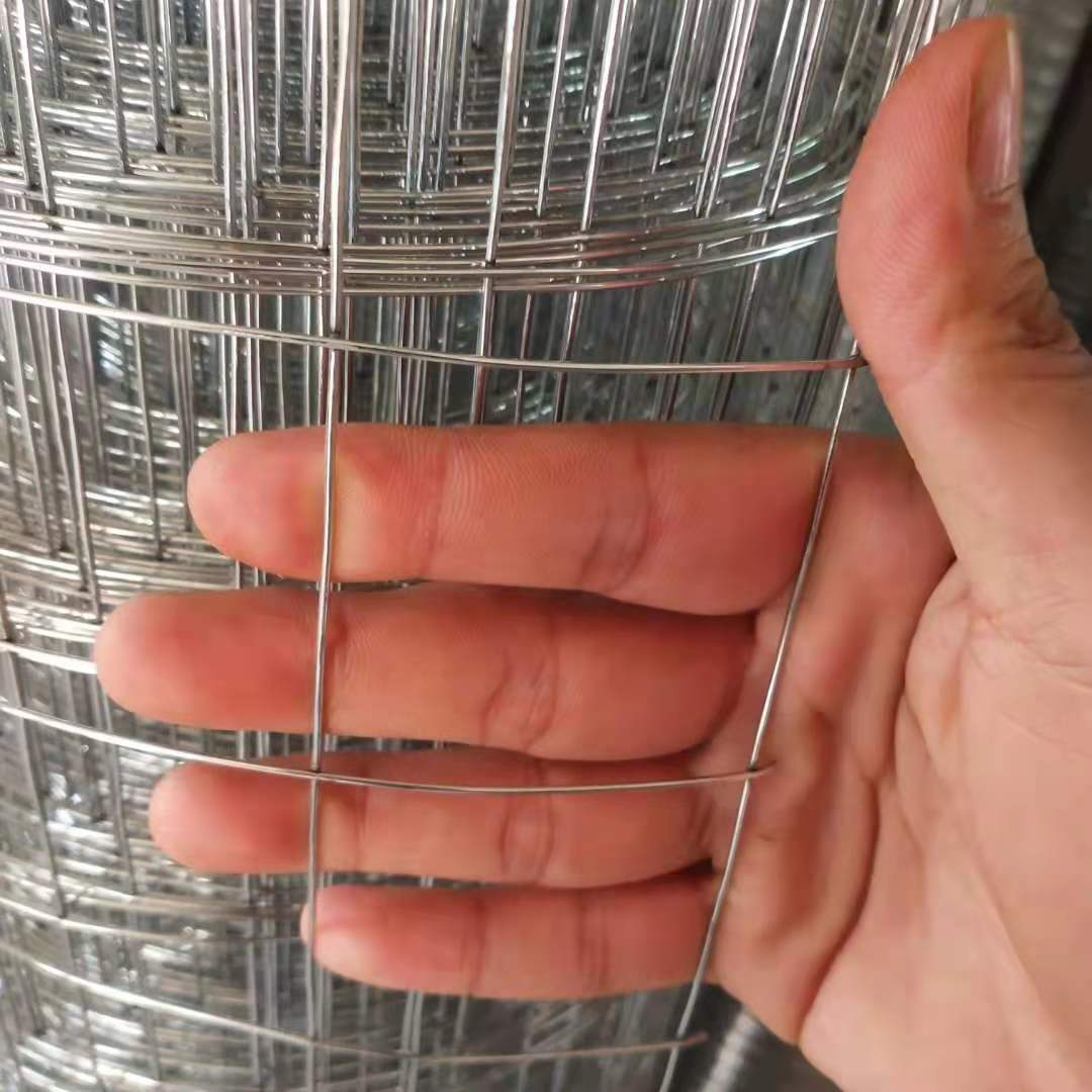 镀锌铁丝网圈地网养殖网围栏网玉米网建筑防裂网钢丝网果园围栏网