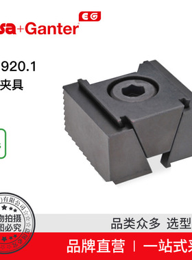 Elesa Ganter伊莉莎冈特 GN 920.1 楔形夹具