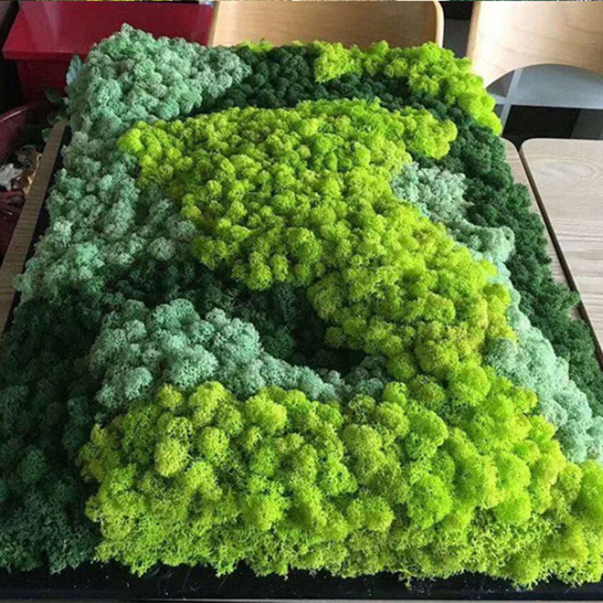 永生苔藓 仿真假苔藓 仿真苔藓 植物墙 造景 装饰微景观植物批发