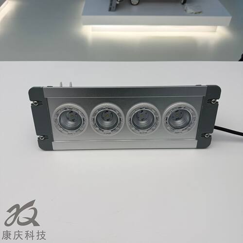 NFE9121B/K-T1 变电室壁挂LED应急照明顶灯12W NFE9121电力应急灯