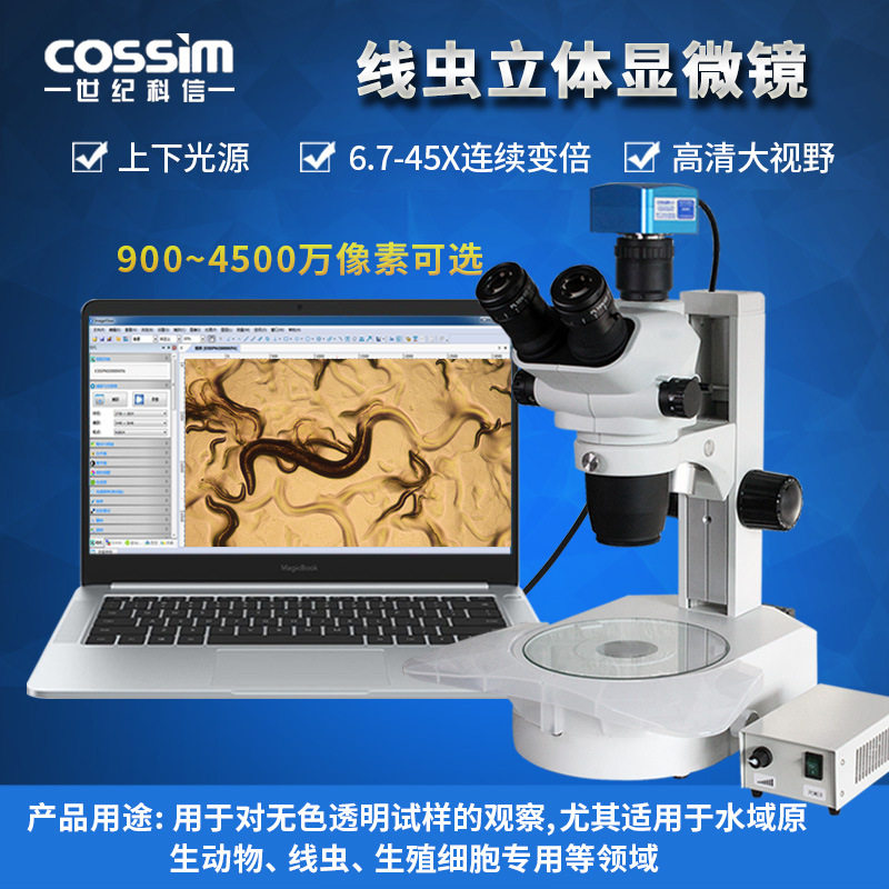 科研级体视显微镜三目线虫立体连续变倍6.7-45X上下光看昆虫植物