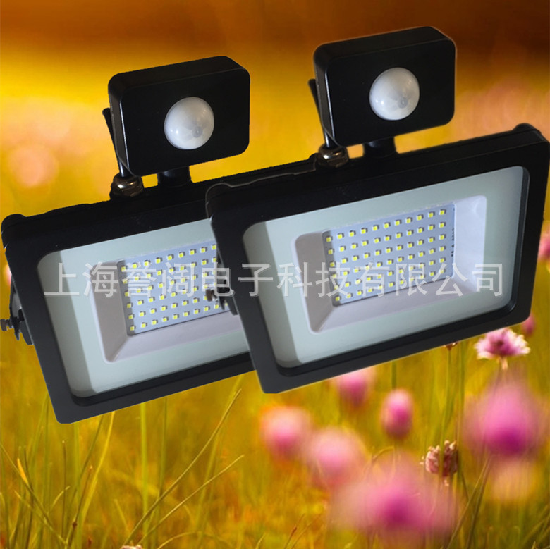 50W/30WLED感应景观投光灯