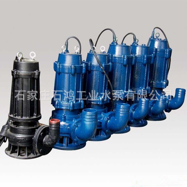 厂家直销 潜污泵 国标潜污泵200WQ400-30-55 小型潜污泵