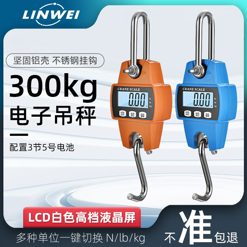300kg小型英文电子吊秤手持