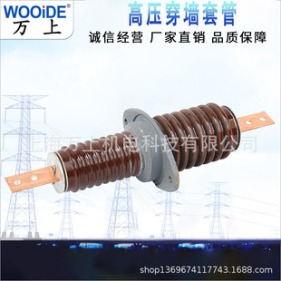 高压穿墙套管CWB-10/400A 10KV环氧树脂 中置柜配件 母线