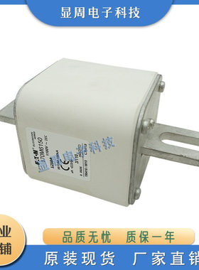 保险熔断器170M6148 170M6149 170M6150 170M6151 170M6158 6159