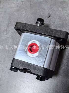 VIVOLO维沃尔齿轮泵 X2P4502EBBA