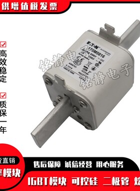 170M5816D 170M5817D 170M5820D 170M6892D巴斯曼熔断器现货