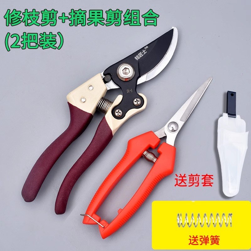 精工sk5果树剪树枝q剪刀粗枝花剪修枝剪家用园艺省力修花