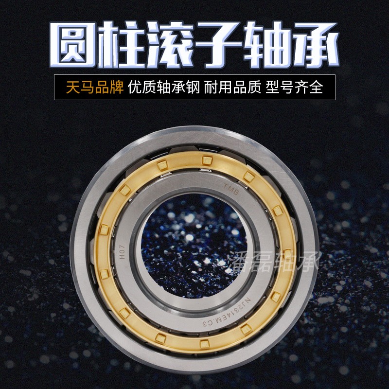 TMB天马圆柱滚子轴承N NU NJ 1010 1011 1012 1013 1014 1015EM