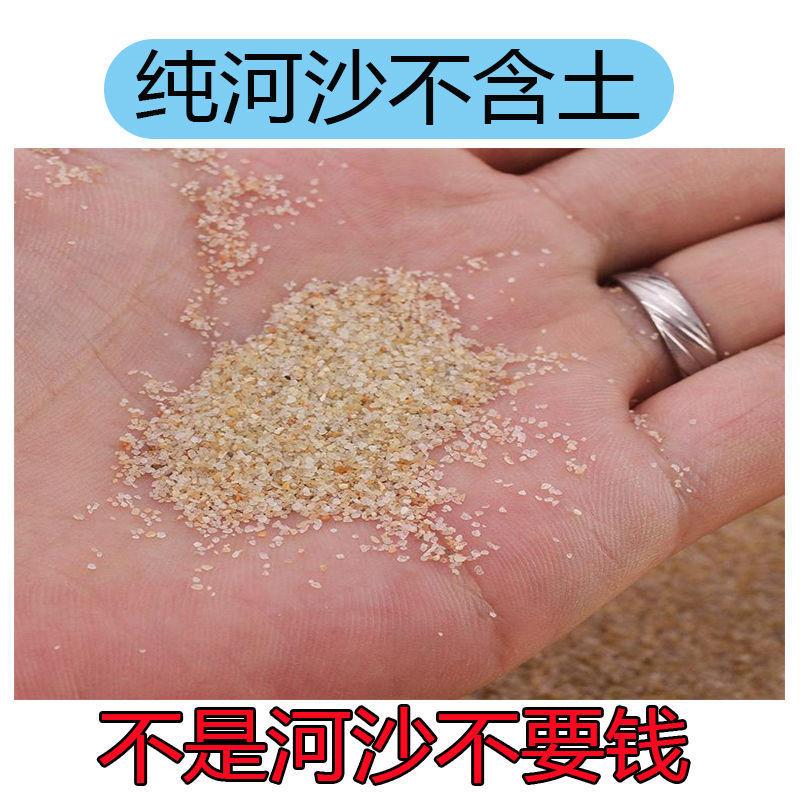 河沙细沙种花沙子鱼缸底砂水族造景乌龟冬眠多肉铺面沙子