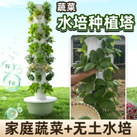 空间树水培塔智能蔬菜种植机家庭垂直无土栽培设备阳台种菜管道架