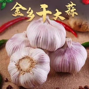 新店开业干蒜促销金乡5斤干大蒜头大蒜种种子紫白皮自然晾晒干蒜