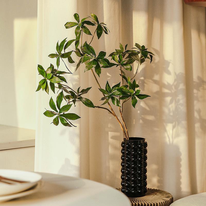 A家花房绿本枝物95155马叶木吊钟日彷真假色植树醉绿枝礼条新居居