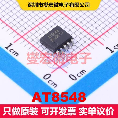 AT8548 SSOP-10-150mil 电机驱动器/控制器 电源管理 集成芯片IC