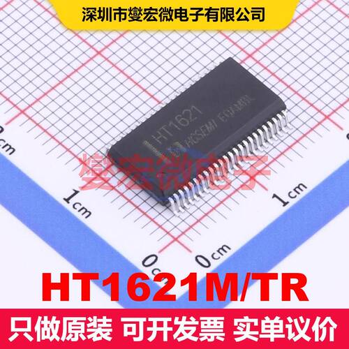 HT1621M/TR SSOP-48 显示驱动器 电源管理 集成芯片IC