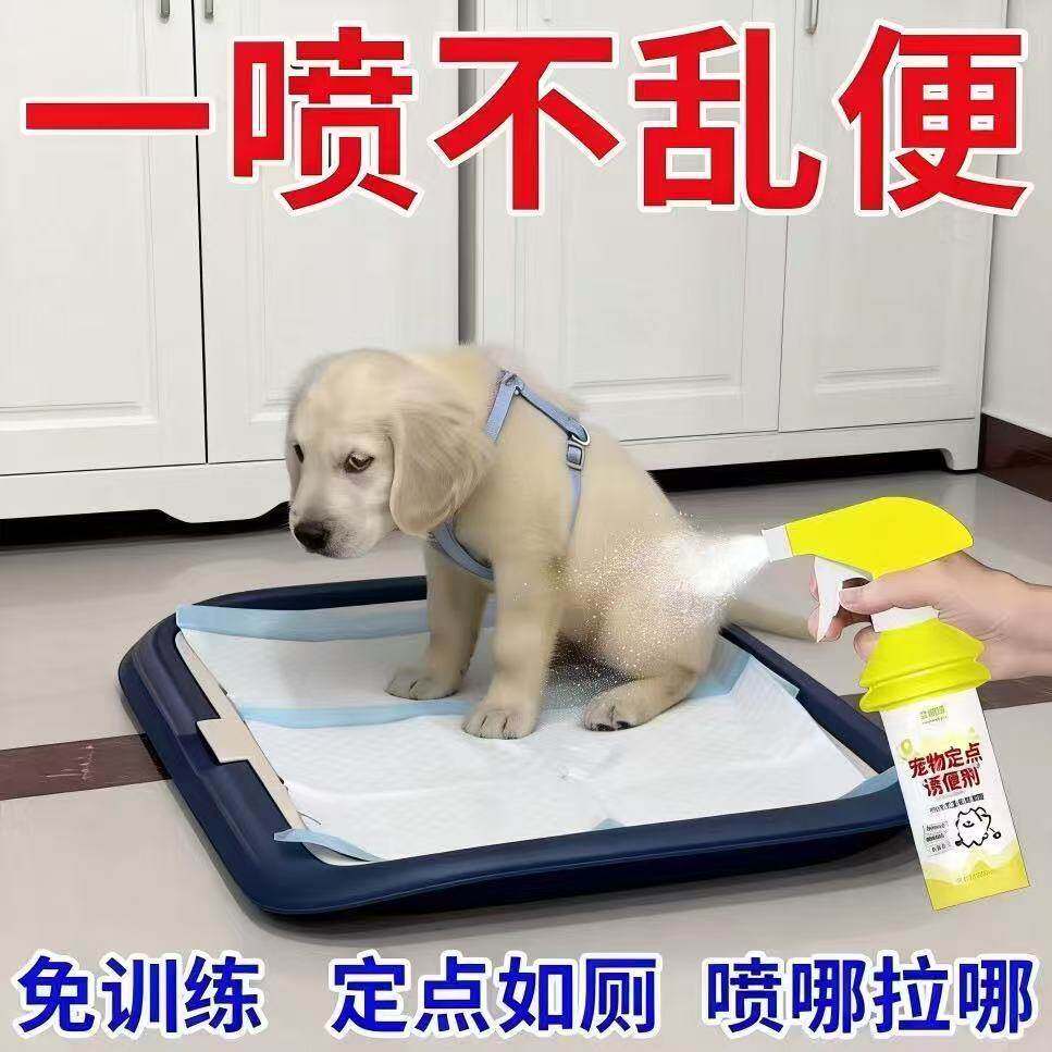 宠物定点诱便剂狗狗厕所诱导剂大小便定位定点排便宠物便便导
