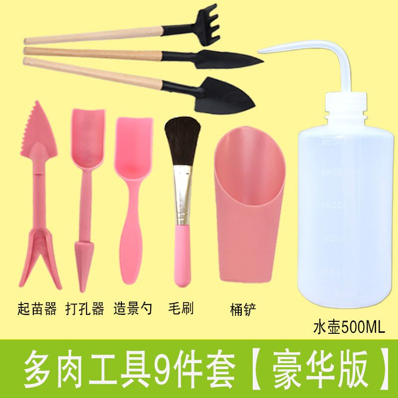 多肉养护全套园艺工具家用镊子小铲盆栽肉肉打理组合套件