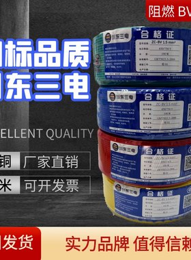 川东三电BV BVR电线 国标阻燃1.5-10平方家装线缆,厂家直销