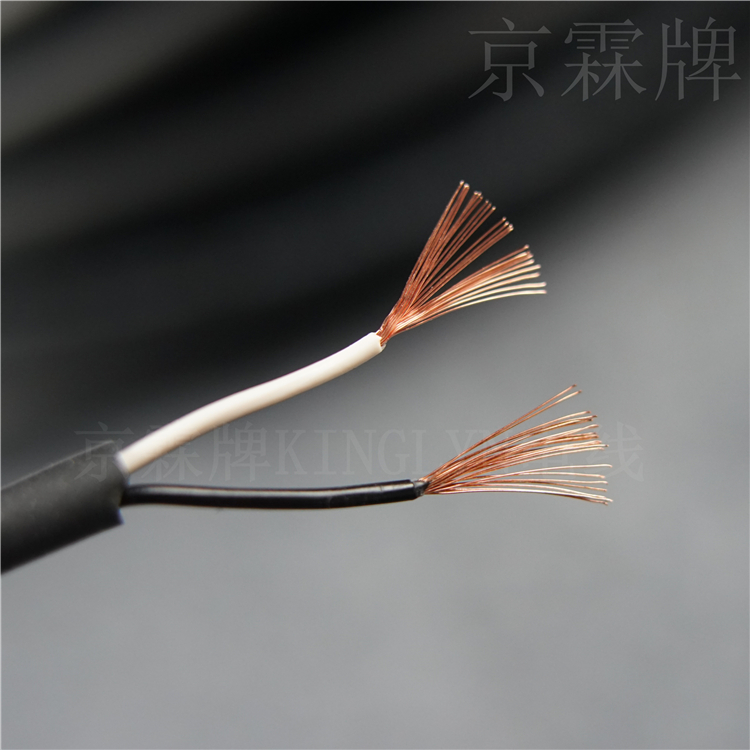 国标电线2芯0.5电源线RVVy护套线20AWG柔软耐折耐油防冻拖链