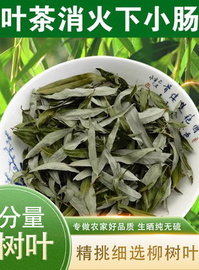 柳树叶茶中药材晒干柳树叶柳枝叶