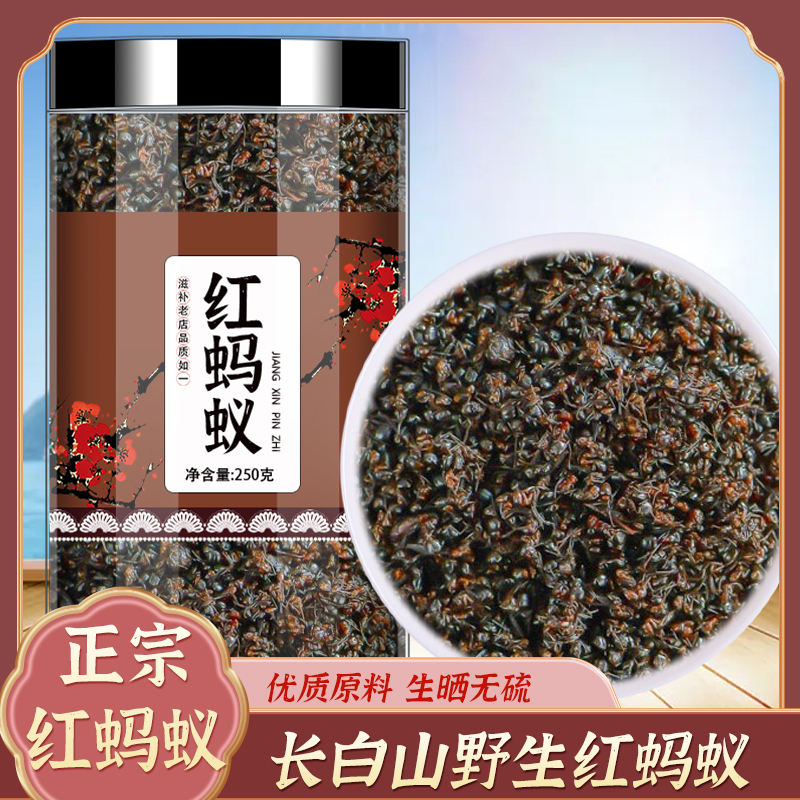 红蚂蚁中药野生非特级长白山正品高品质泡酒黄山酸蚁另有黑蚂蚁