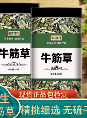 牛筋草中药500克野生牛筋草牛根草牛顿草新鲜路边草路边草千金草