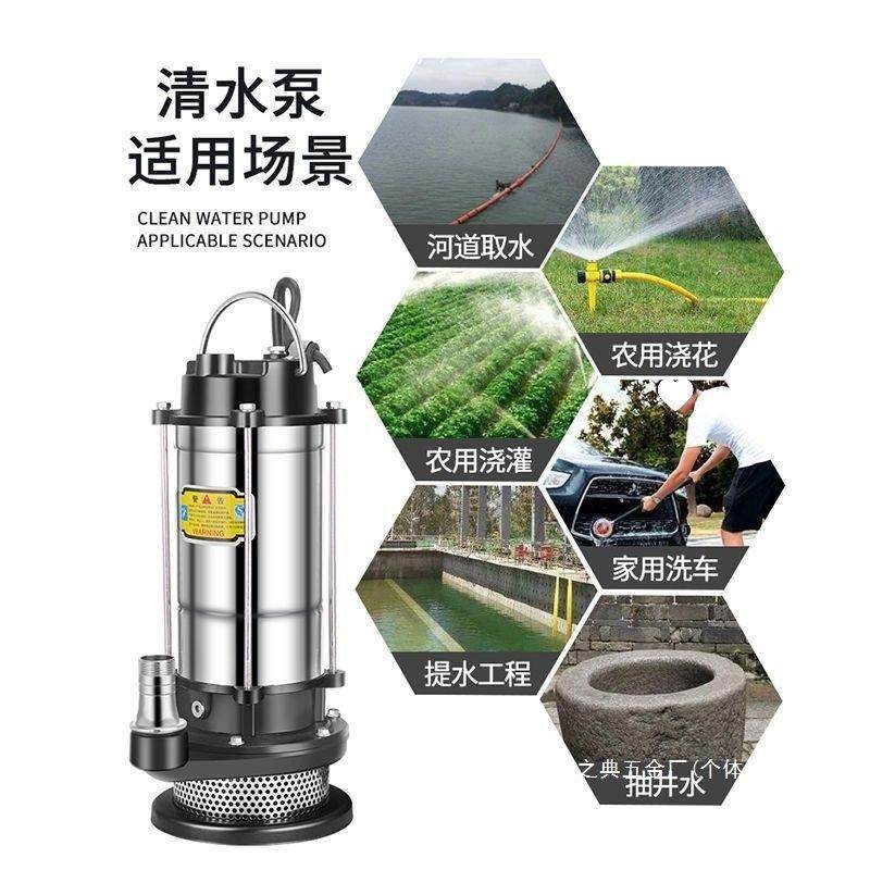 家用潜水泵1寸220V小型抽水泵吸水高扬程家用井水农用清水污水泵
