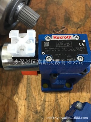 DBW10A2-5X/315-6EG24N9K4
