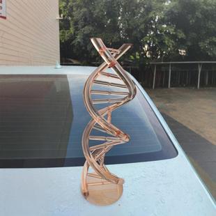 亚克力管热弯异形螺旋造型摆件DNA模型来图来样