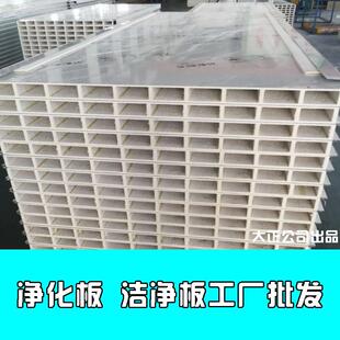 50mm厚机制中空玻镁板洁净室厂房净化板工厂洁净室