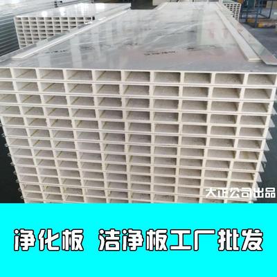 50mm厚机制中空玻镁板洁净室厂房净化板工厂洁净室