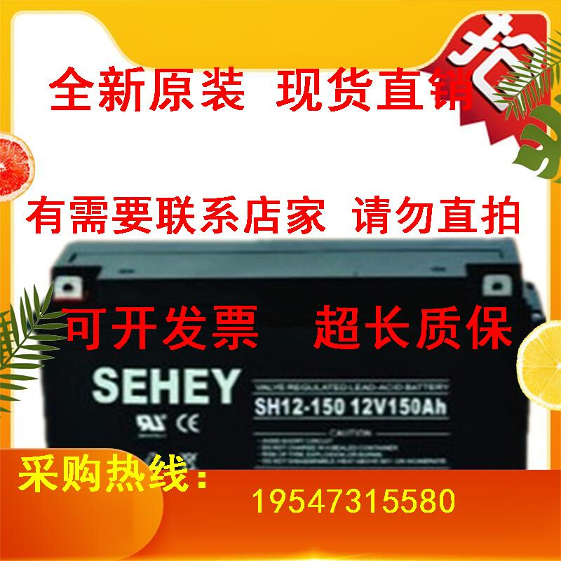 12V100AH SEHEY铅酸蓄电池SH100-12 UPS不间断电源电瓶