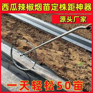 地膜打孔定植器农用手推测距定距开孔工具西瓜种植定位器种烟神器