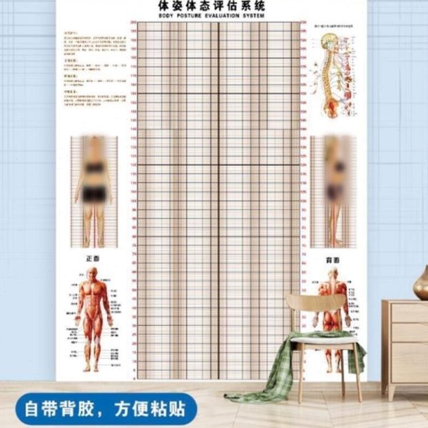 体态评估表墙贴健身房体测网格纸瑜伽馆私教姿势体位体脂图体姿图