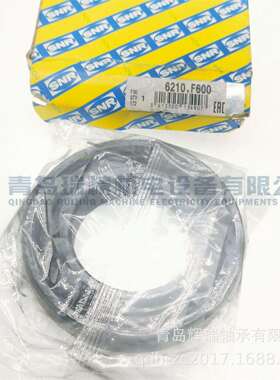 法国进口 SNR 耐350°高温轴承 6210.F600 = 6210/VA201