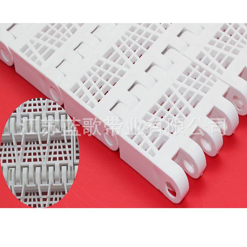 果蔬清洗沥水输送网带 链板式网带 食品分拣塑料模组网带江苏厂家