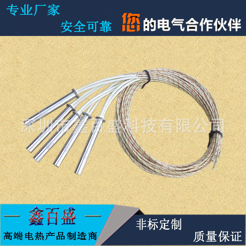 K型热电偶不锈钢干烧加热棒
