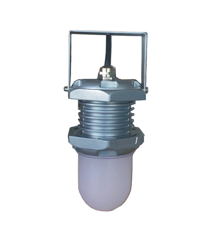 FW6325防爆行灯 海洋王防爆灯 船用检修灯 船用led照明灯具
