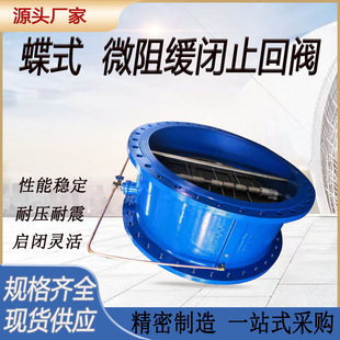 150 止回阀铸铁法兰重锤止回阀dn200 300 hh49x微阻缓闭蝶式 HH44X