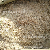 供应大型玉米秸秆粉碎机 甘肃花生秧粉碎机生产厂家 质保一年