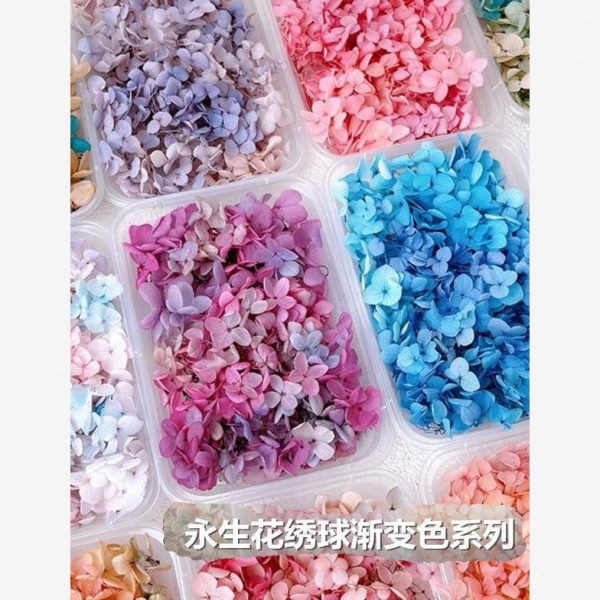 装饰脸脸妆上贴新娘立体脸化妆容贴纸妆妆舞台贴花干花贴脸部花瓣