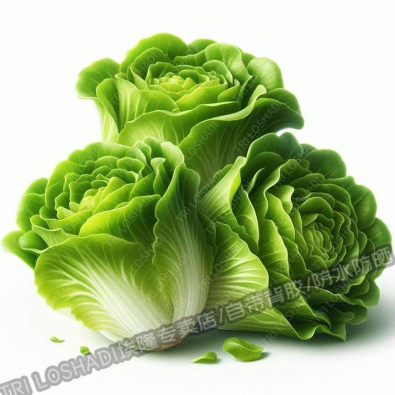 厨房装饰蔬菜水果贴纸墙面遮丑瓷砖防水贴纸墙面门窗新鲜蔬菜贴花