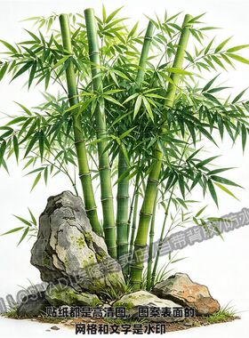 国风丛生翠竹防水装饰贴坚韧挺拔